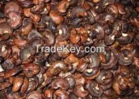 CASHEW NUT SHELL