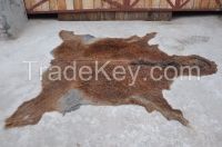 Wet/dry salted donkey hides 