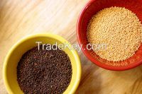 Black, yellow and red mustard seed from Ukraine