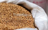 Quality Ukraine barley low price