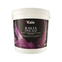 Kale Interior Wall Decorative Coating/Paint