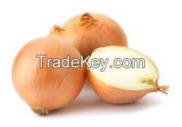 ONIONS