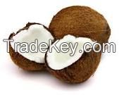 COCONUT