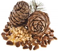 Pine (cedar) nut oil (250 ml): $9-35