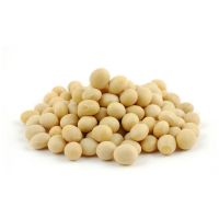 SOYBEAN