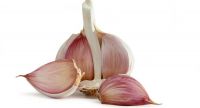 Fresh Garlic Available For Sale And Export