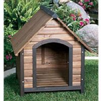 DOG  HOUSE