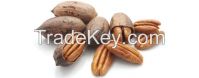 Pecan Nuts 