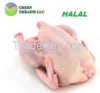 Halal Quality Whole Chicken