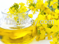 rapeseed oil