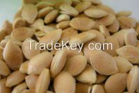 Squash Seeds