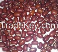 Adzuki Beans