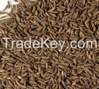 Caraway Seeds