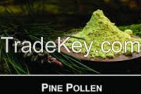 pine poling powder