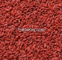 Wholesale Organic Goji Berry