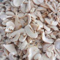 canned mushroom pieces and stems manufacturer in China for middle east