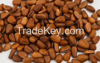 Hot sale Pine nut