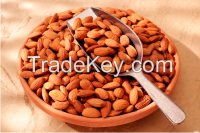 sweet almond/apricot kernels