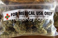 medical herb