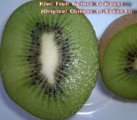 xixuan 2# kiwi fruit chinese fresh kiwi fruit, original chinesekiwi