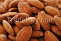 High Quality Almond Nuts