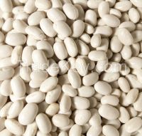 White Butter Beans