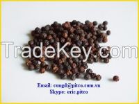 Vietnam Black Pepper 550gl