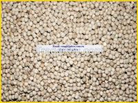 Vietnam White Pepper 