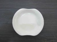 Rectangular Dish with Round Edges