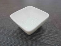 2.5 inch Small Square Dish