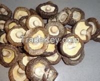 https://jp.tradekey.com/product_view/Dehydrated-Mushroom-8454086.html