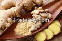 ginger dried and fresh