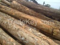 TEAK ROUGH SQUARE TEAK BILLETS/LOGS Gmelina billets/ logs