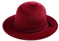 hat, felt hat, straw hat, knitted hat, woolen hat, cloth hat