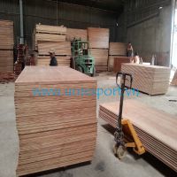 Container flooring plywood