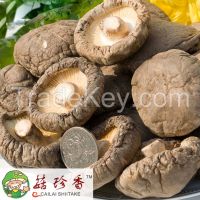 https://es.tradekey.com/product_view/Fresh-And-Dry-Shiitake-Mushroom-With-Stem-8427494.html