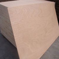 Pine/Spruce /Birch/Beech Plywood