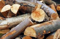 Wood Logs