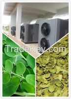 moringa leaf dryer