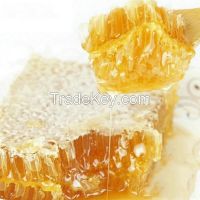 Raw Honey for importers