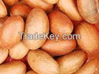 Original Quality Garcinia kola(bitterkola) for sale