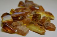 AMBER STONES SEMIMANUFACTURES