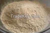 whole Wheat Flour