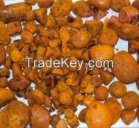 Ox Gallstones