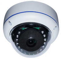 2MP AHD Low illumination Vandalproof Dome Camera