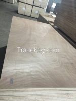 TRANG HOA PLYWOOD IMPORT EXPORT COMPANY LIMITED