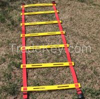 Agility Training Ladder