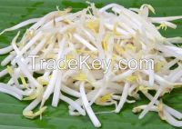 https://fr.tradekey.com/product_view/Fresh-Vegetables-Iqf-Frozen-Mung-Bean-Sprouts-For-Sale-8435477.html