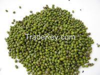 Green Mung Bean (Prime quality dried).