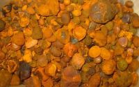 Top Grade Ox Gallstones